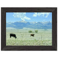 be2c7961-856b-4cea-ab84-19116c7cf5ba